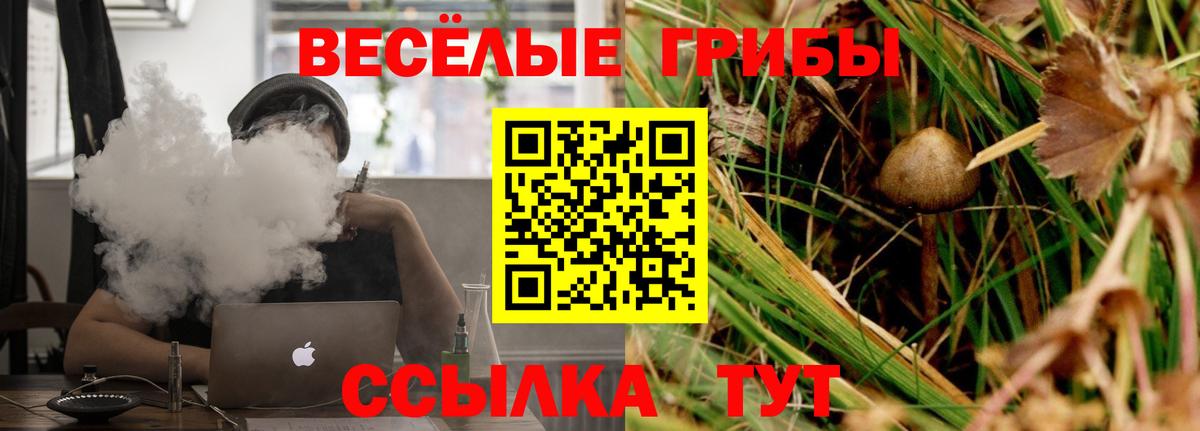 Великие Луки  Галлюциногенные грибы прущие грибы  Вход с VPN 