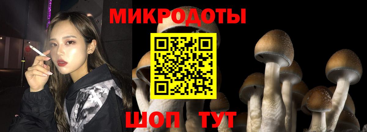 Галлюциногенные грибы мицелий Великие Луки